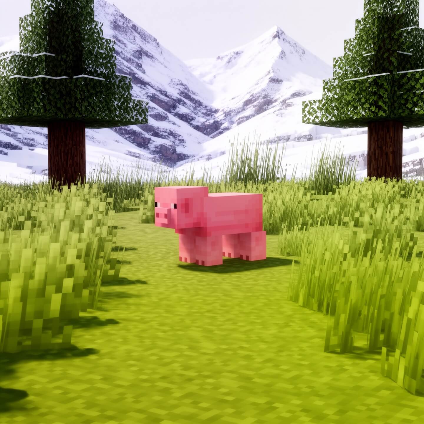 3'lü Domuz Spawner Paketi