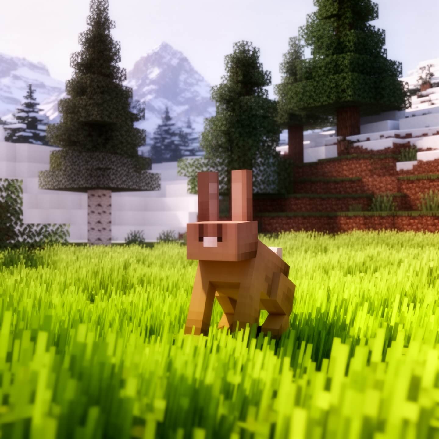 3'lü Tavşan Spawner Paketi